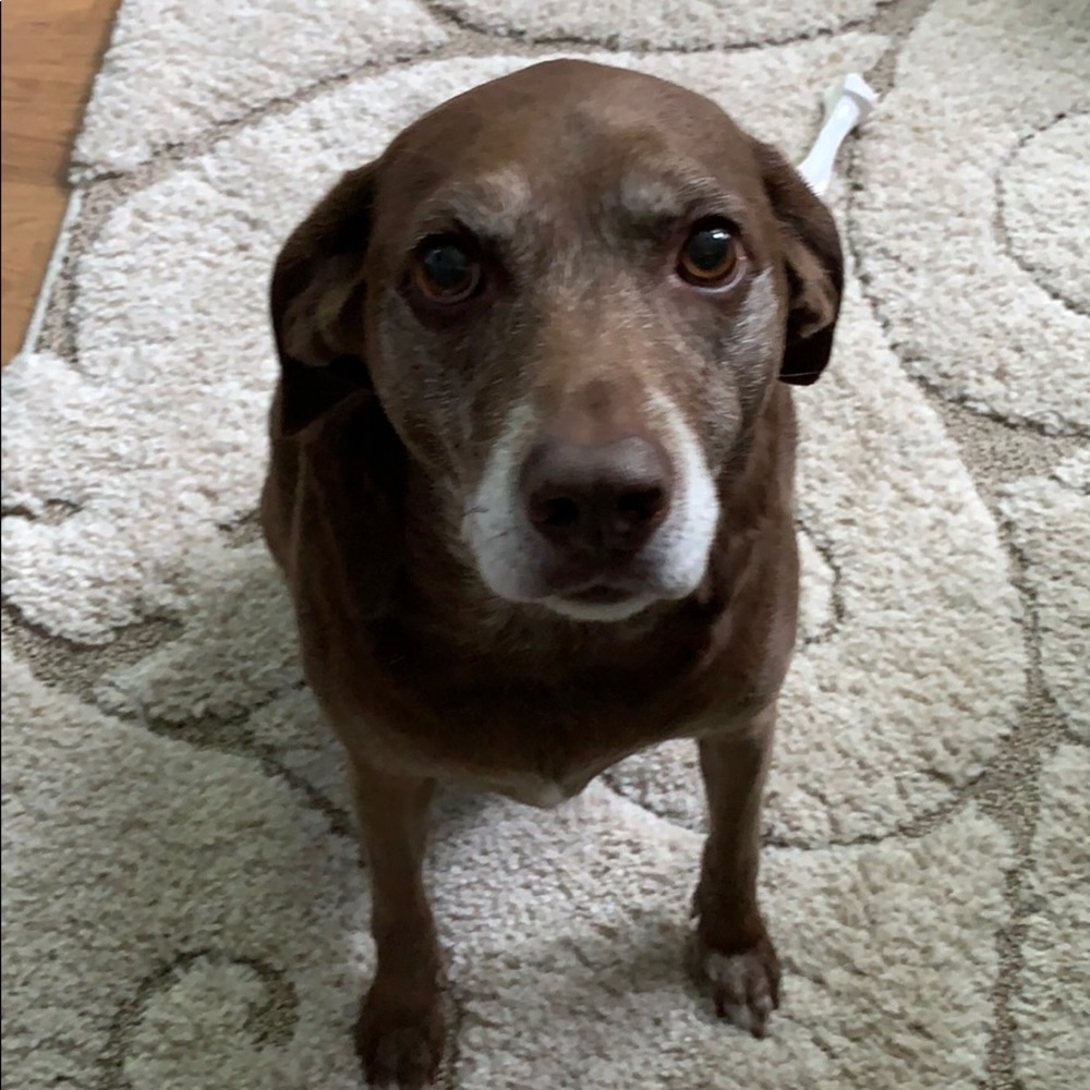 Meet your Posher, Michelle